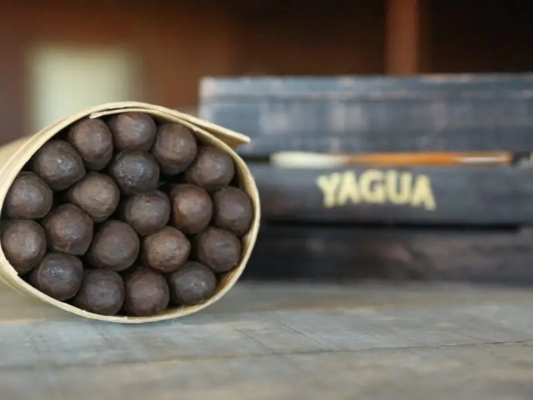 Yagua