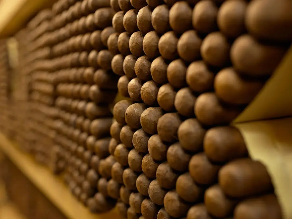 Cigar Bundles Aging in Storage