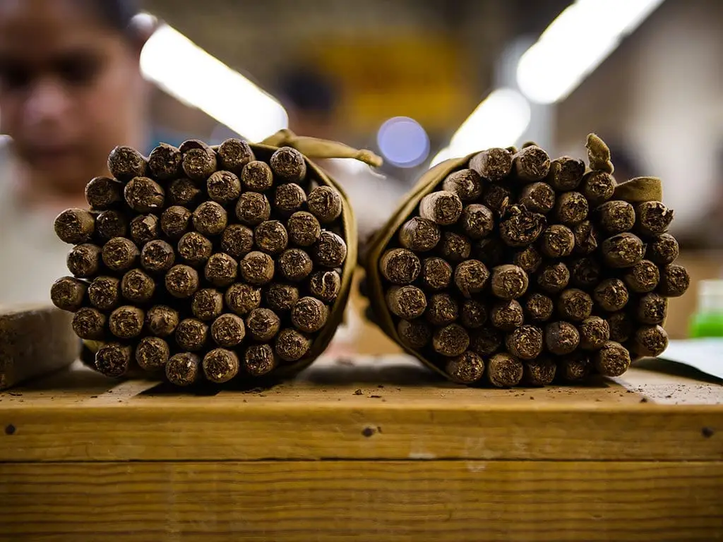 cigar factory rolling bundles