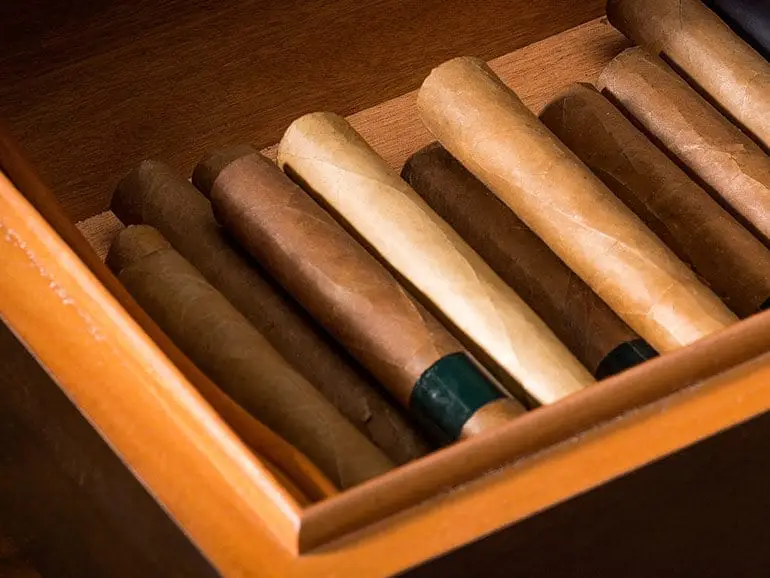 Humidor mit Zigarren