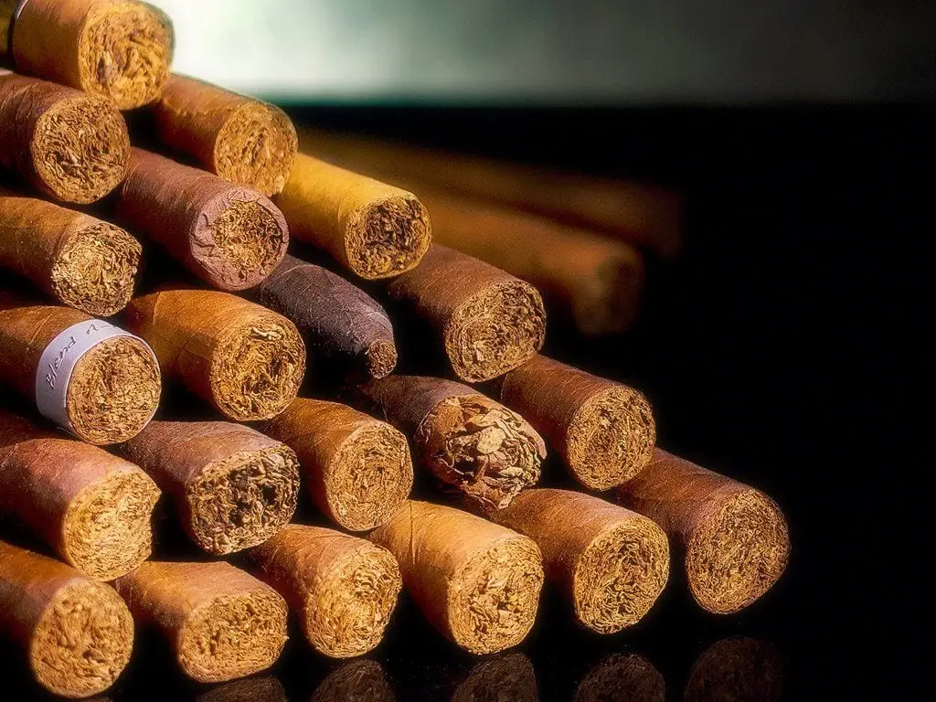 staple of cigars cj humidor corner 2013