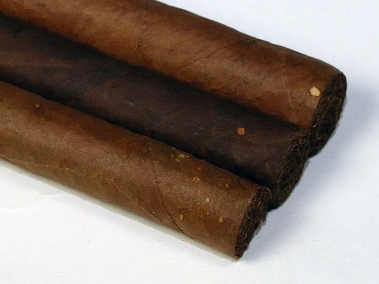 Yellow Spots on a Cigar Wrapper